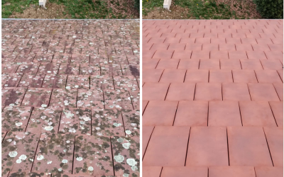 Toiture en danger : les signes à surveiller